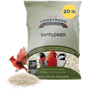 Armstrong Wild Bird Food Safflower Bird Seed, 20 Pounds - for Northern Cardinals